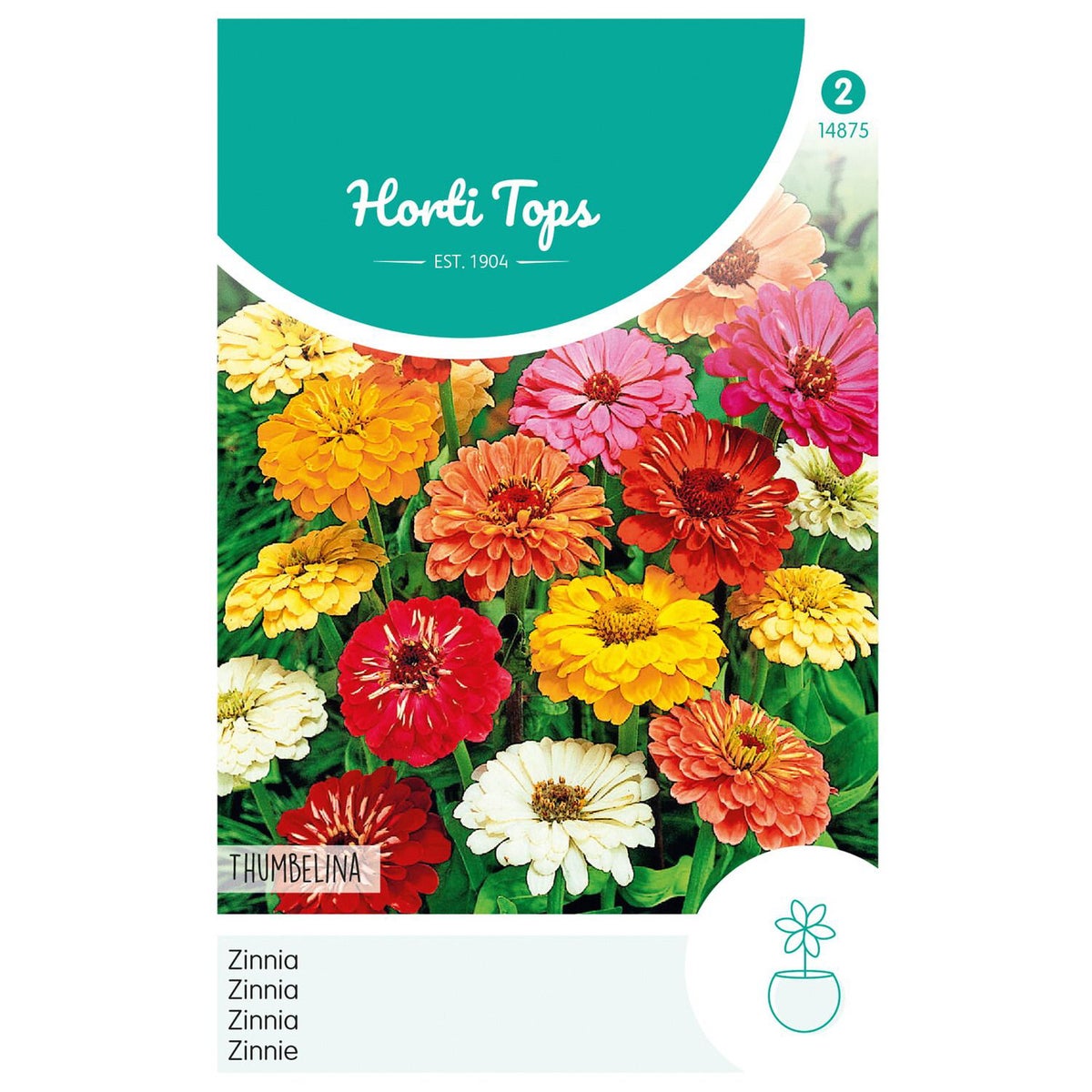 Zinnia Thumbelina laag mix Zinnia Thumbelina laag mix