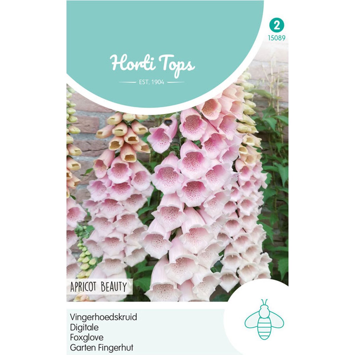 Vingerhoedskruid Apricot Beauty Vingerhoedskruid Apricot Beauty