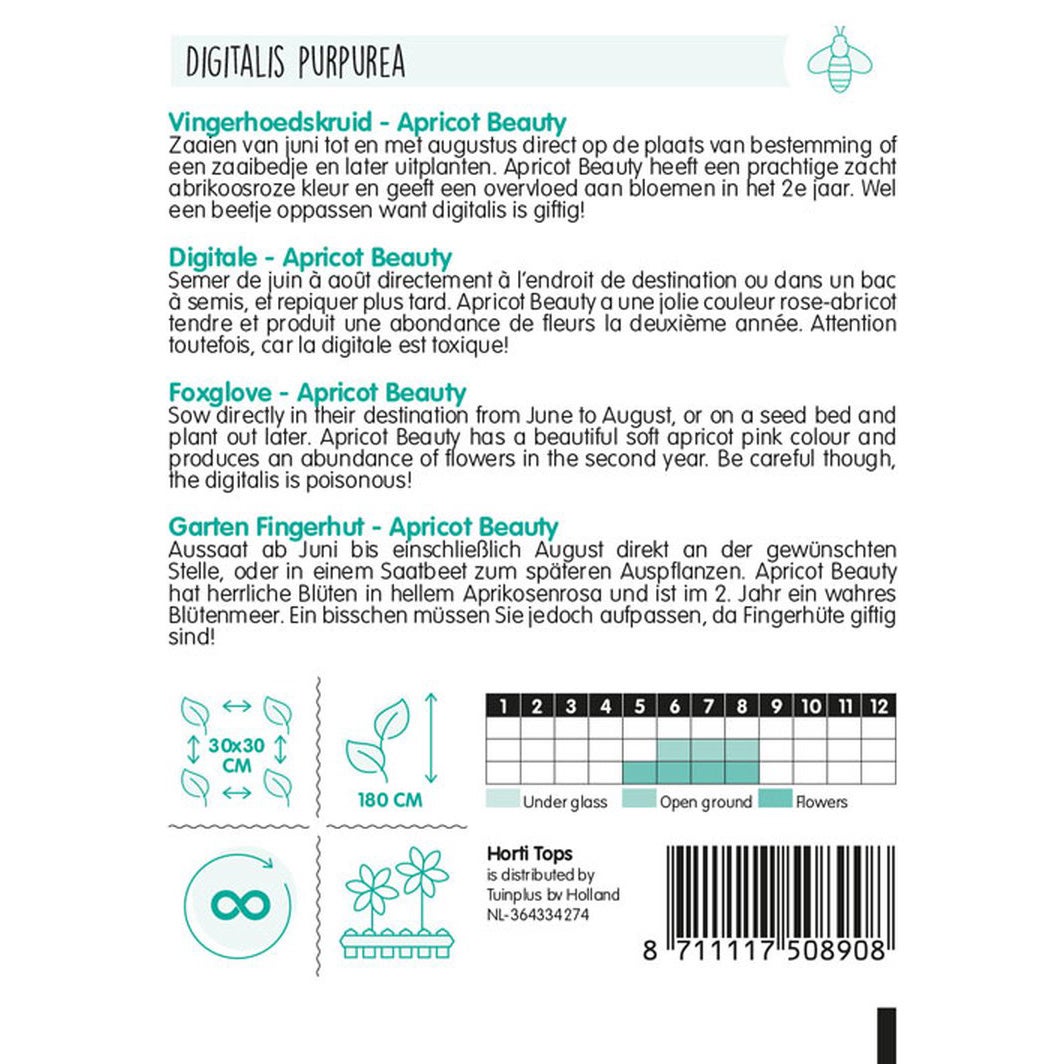 Vingerhoedskruid Apricot Beauty Vingerhoedskruid Apricot Beauty