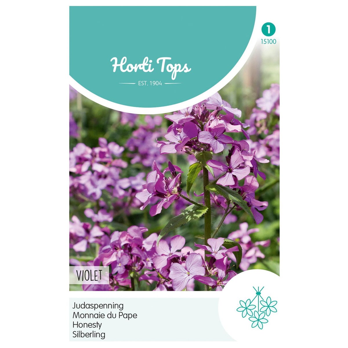 Judaspenning Violet Judaspenning Violet