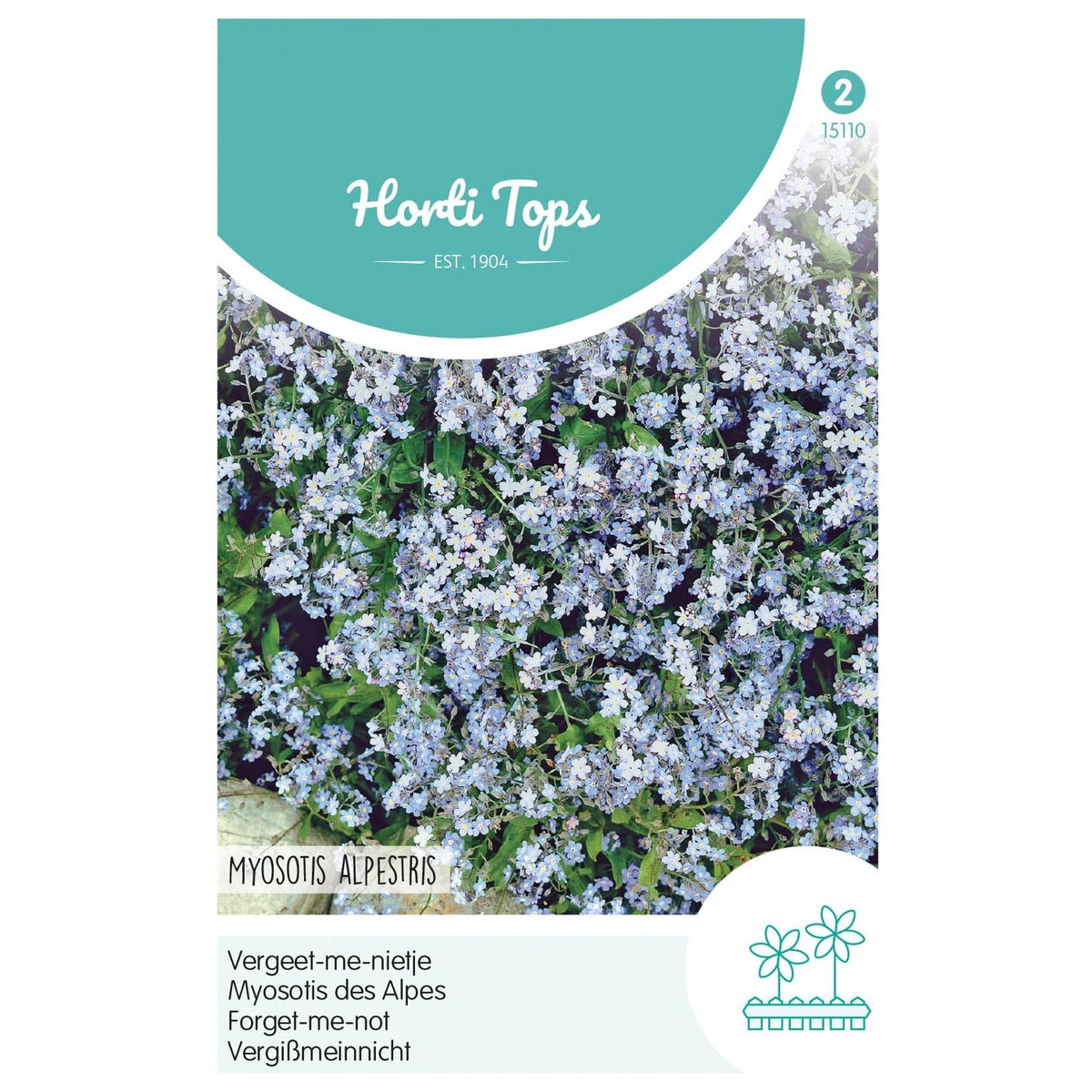 Vergeet-me-nietje blauw Vergeet-me-nietje blauw