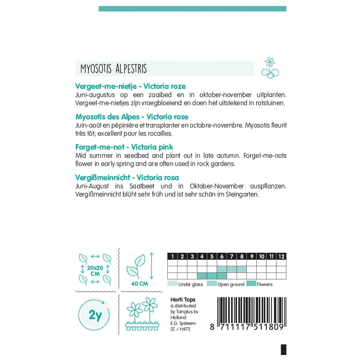 Vergeet-me-nietje Victoria rose Vergeet-me-nietje Victoria rose