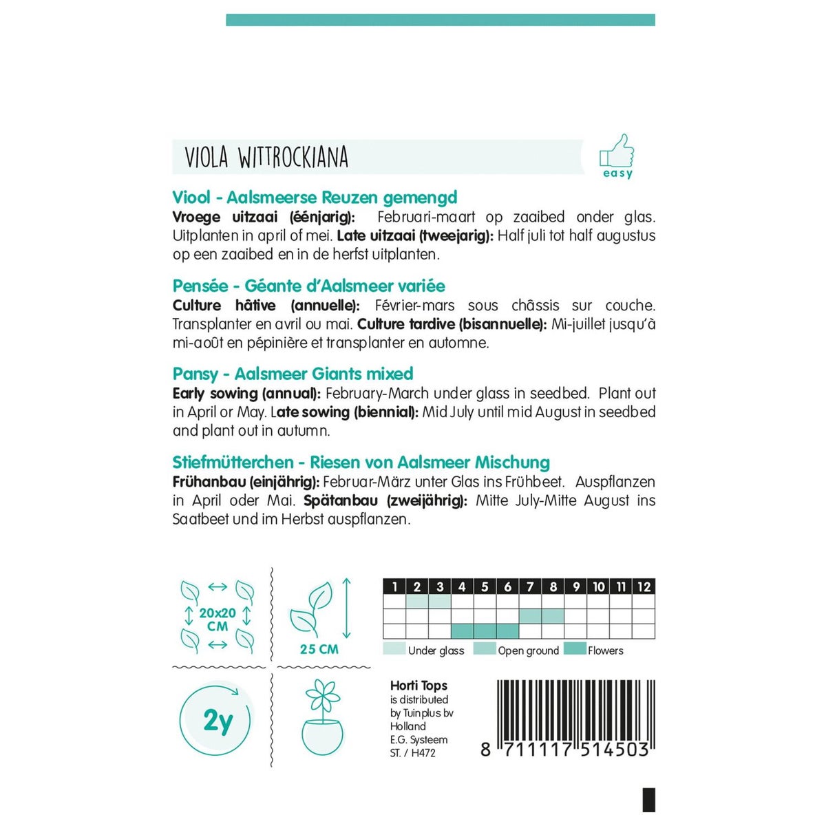 Viooltjes Aalsmeerse Reuzen Viooltjes Aalsmeerse Reuzen