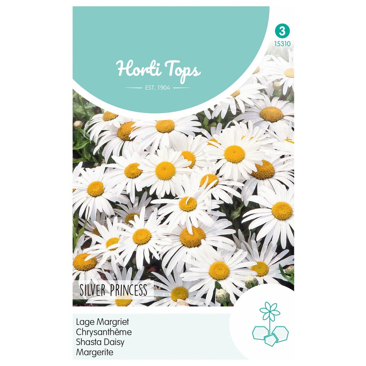 Lage Margriet Silver Princess Lage Margriet Silver Princess