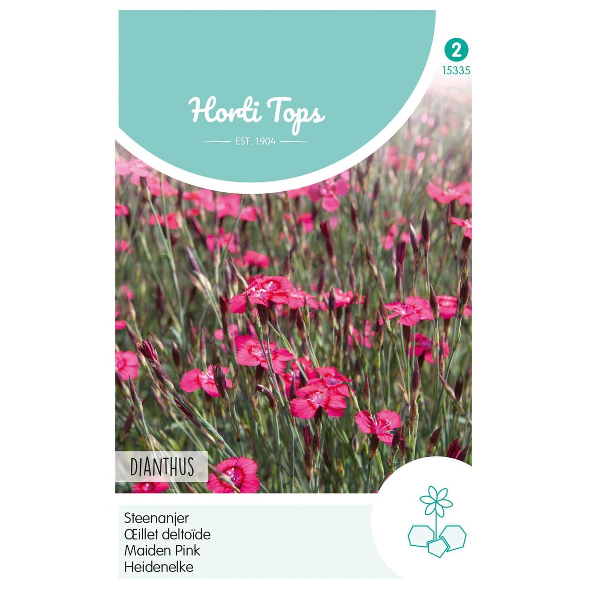 Steenanjer Karmijnrose Steenanjer Karmijnrose