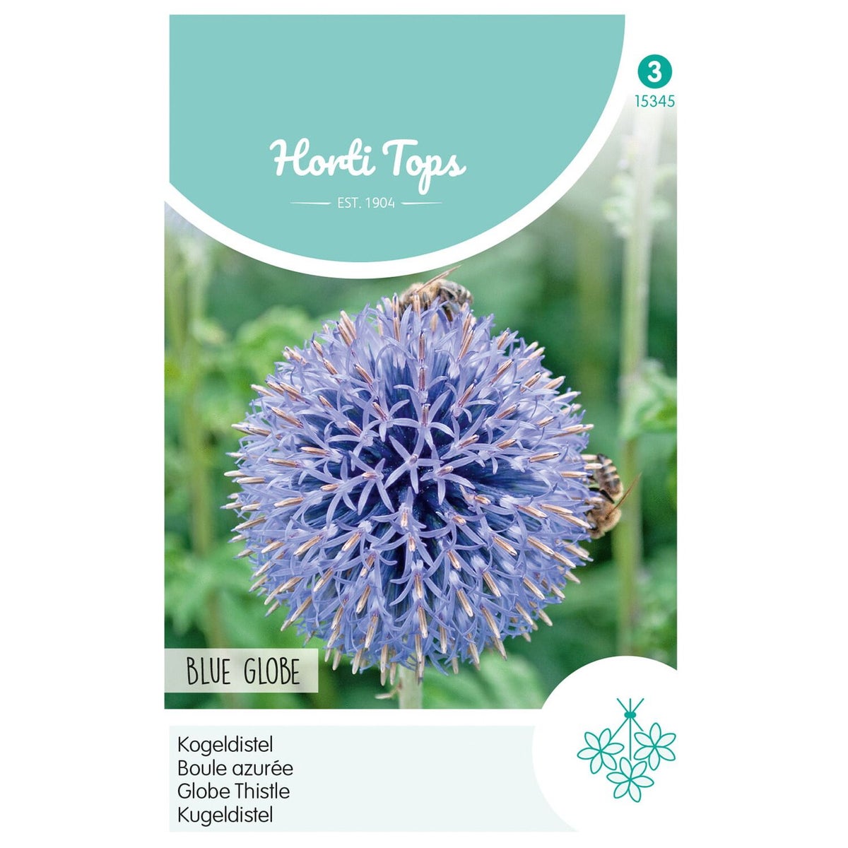 Kogeldistel Blue Globe Kogeldistel Blue Globe