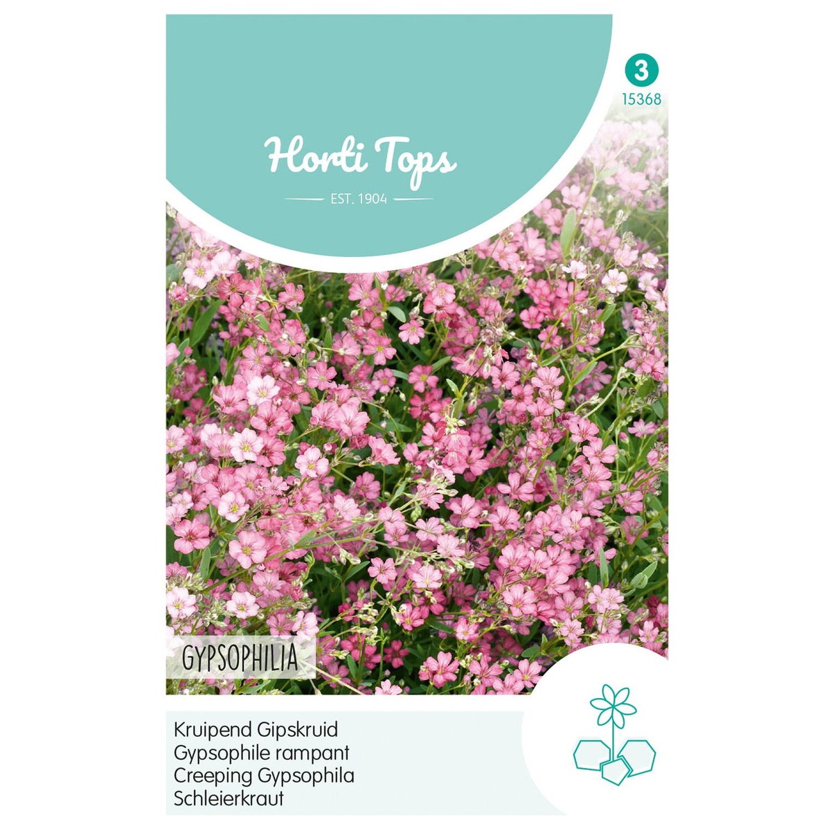 Kruipend Gipskruid roze Kruipend Gipskruid roze