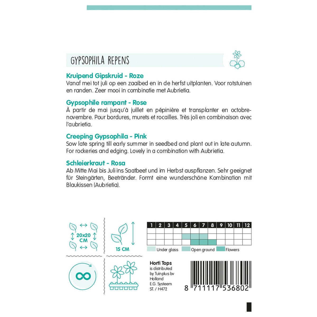 Kruipend Gipskruid roze Kruipend Gipskruid roze