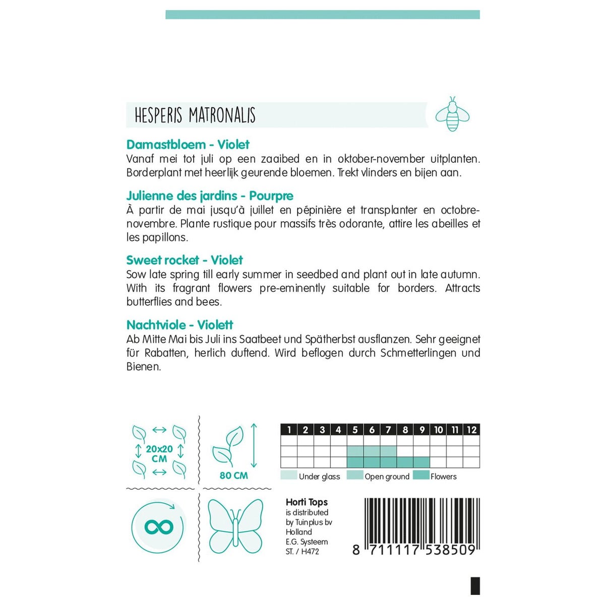 Damastbloem violet Damastbloem violet