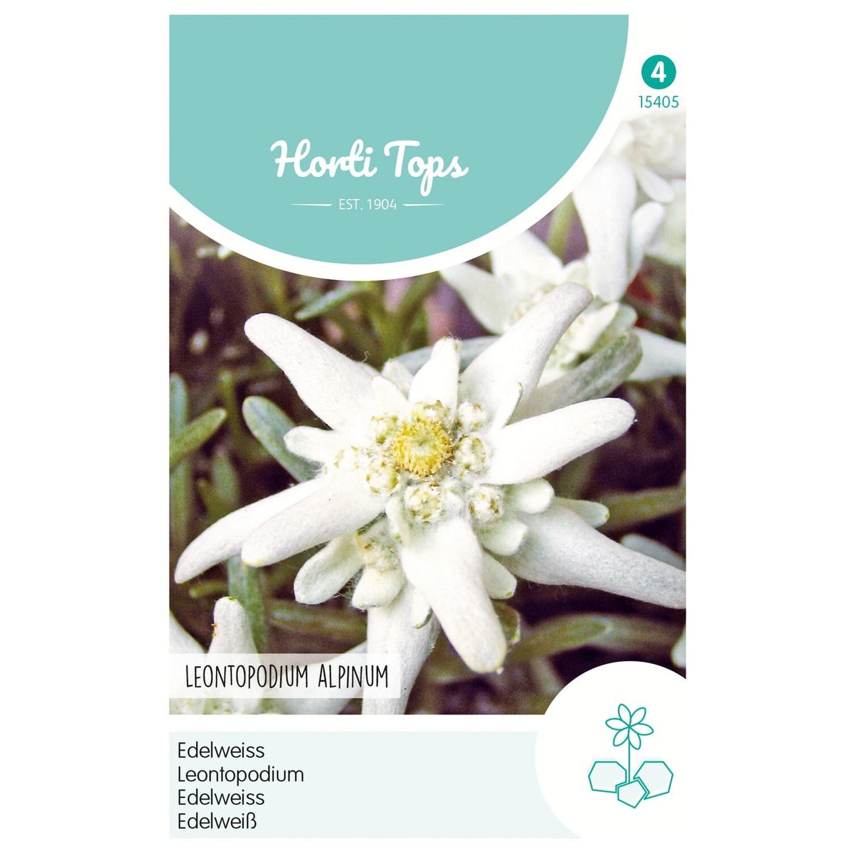 Edelweiss Edelweiss