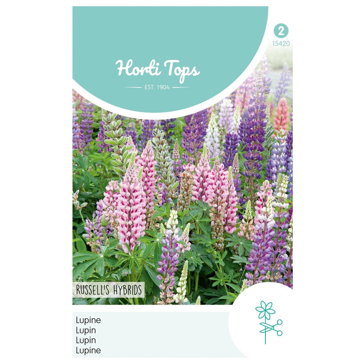Lupine Russell Hybrids mix Lupine Russell Hybrids mix