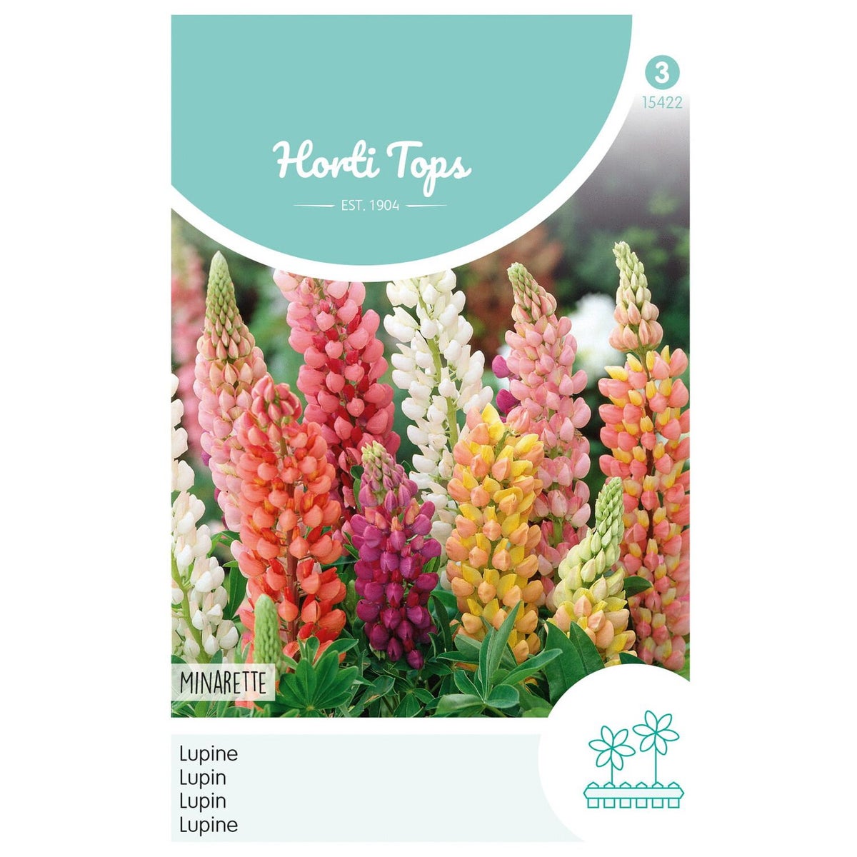 Lupinus Minarette mix Lupinus Minarette mix