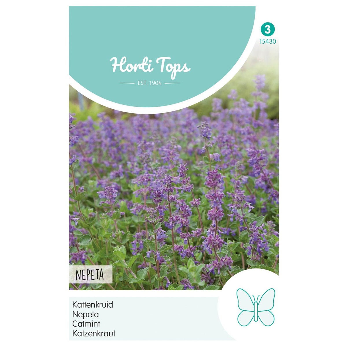 Nepeta kattenkruid Nepeta kattenkruid