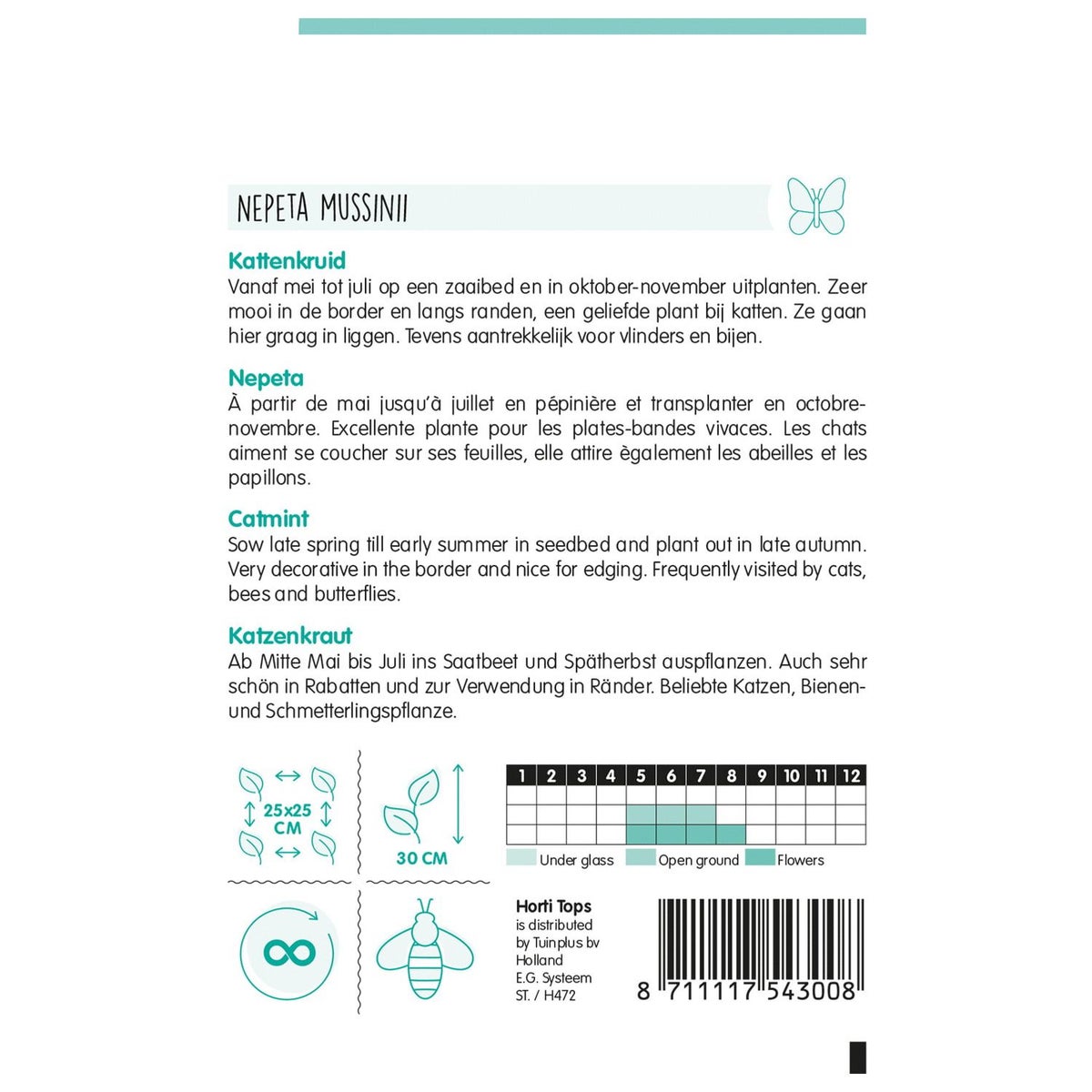 Nepeta kattenkruid Nepeta kattenkruid