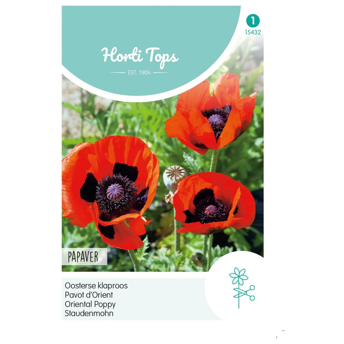 Papaver Orientale Oosterse klaproos rood Papaver Orientale Oosterse klaproos rood