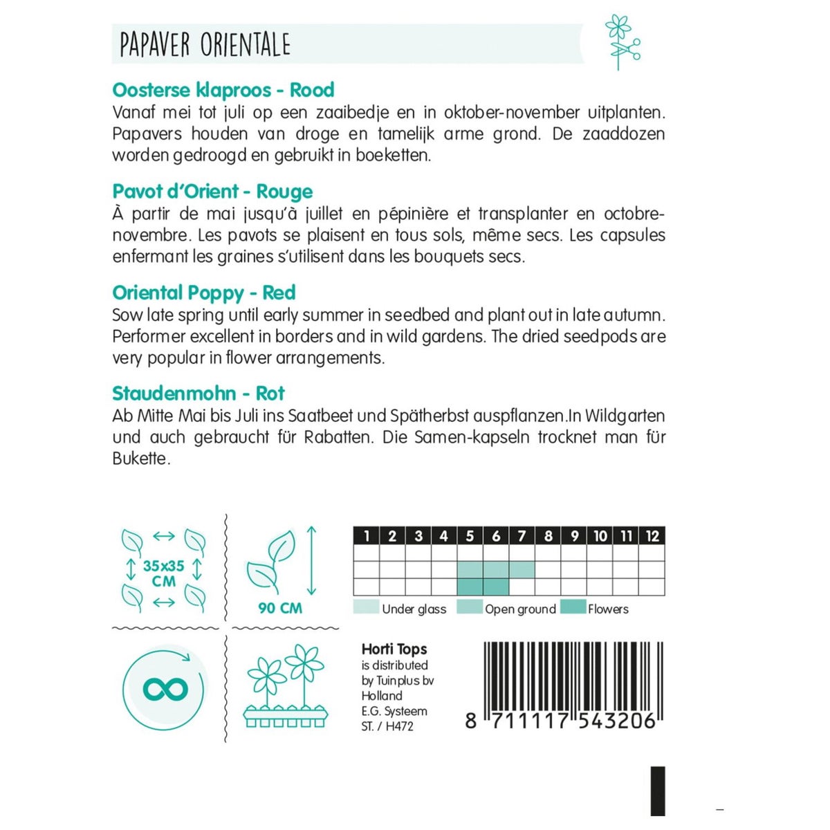 Papaver Orientale Oosterse klaproos rood Papaver Orientale Oosterse klaproos rood