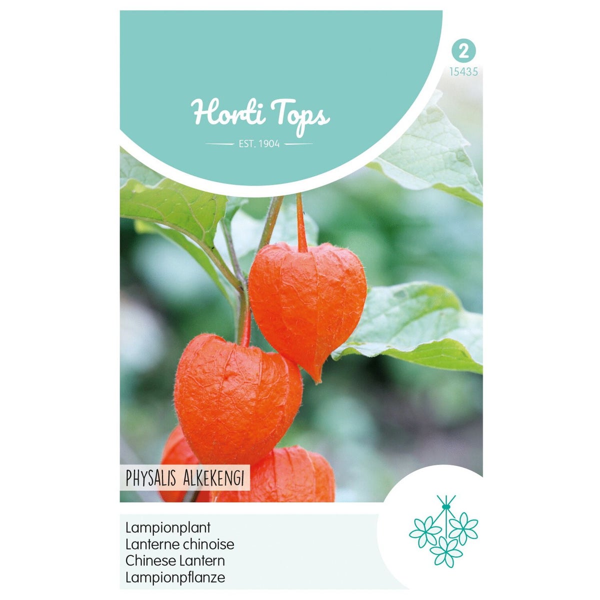 Physalis lampionplant Physalis lampionplant