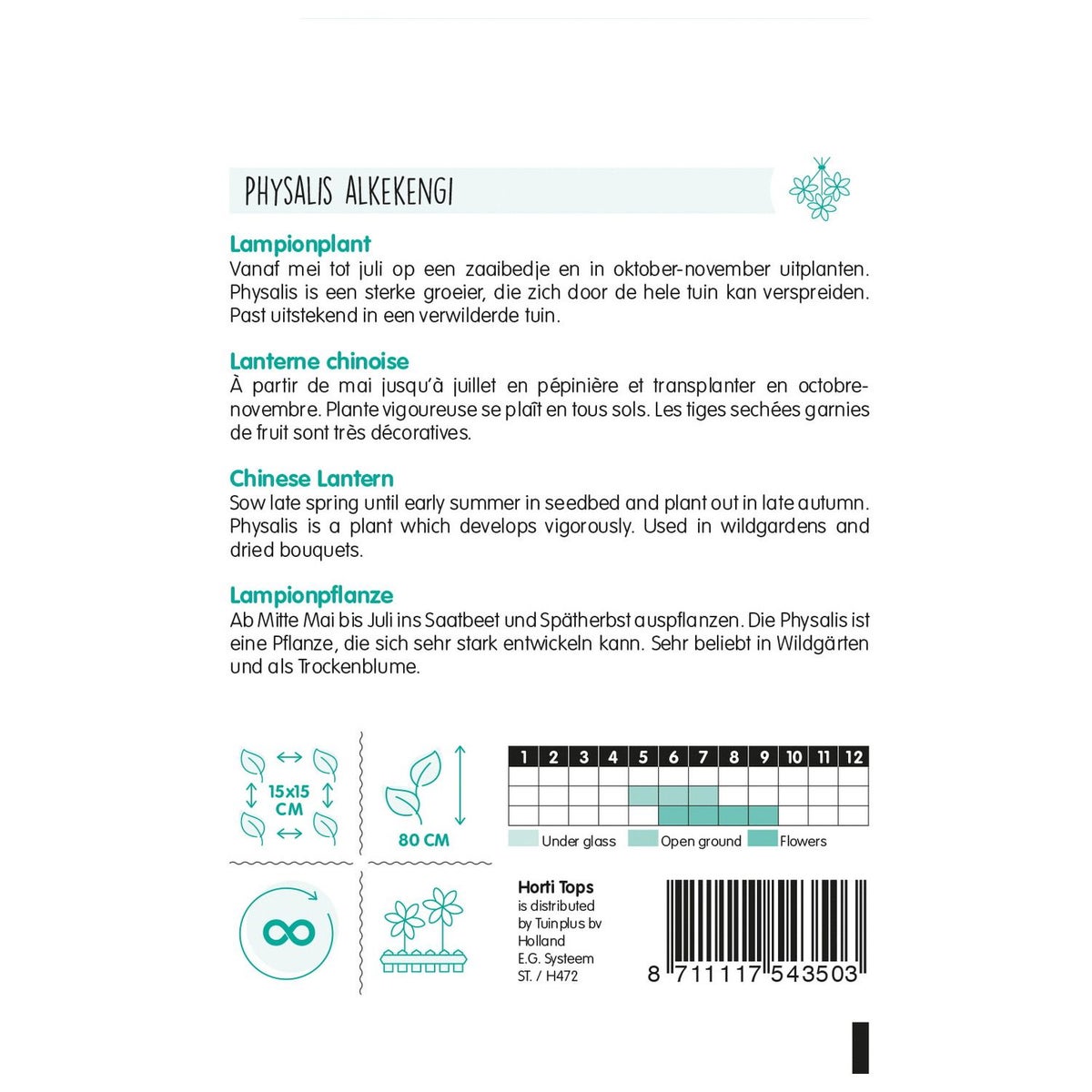 Physalis lampionplant Physalis lampionplant