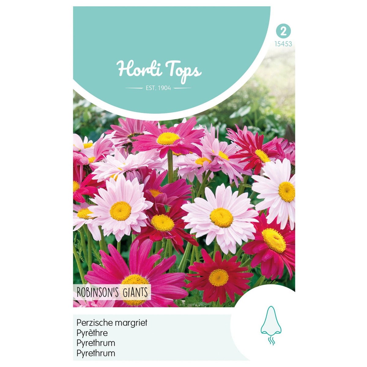 Perzische margriet Robinson Giants Perzische margriet Robinson Giants