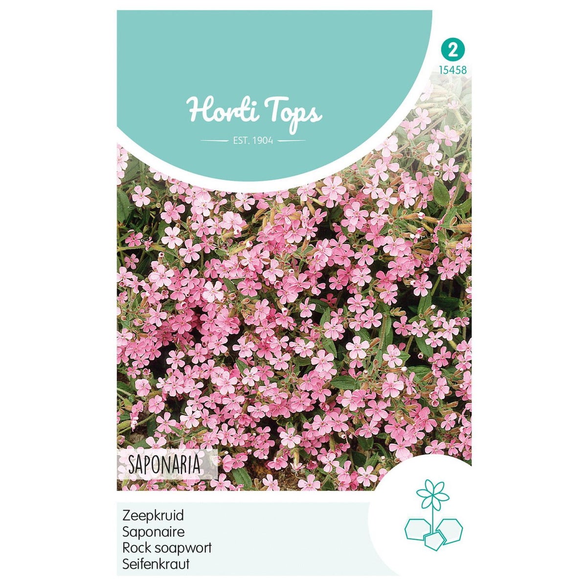 Zeepkruid Rose Zeepkruid Rose