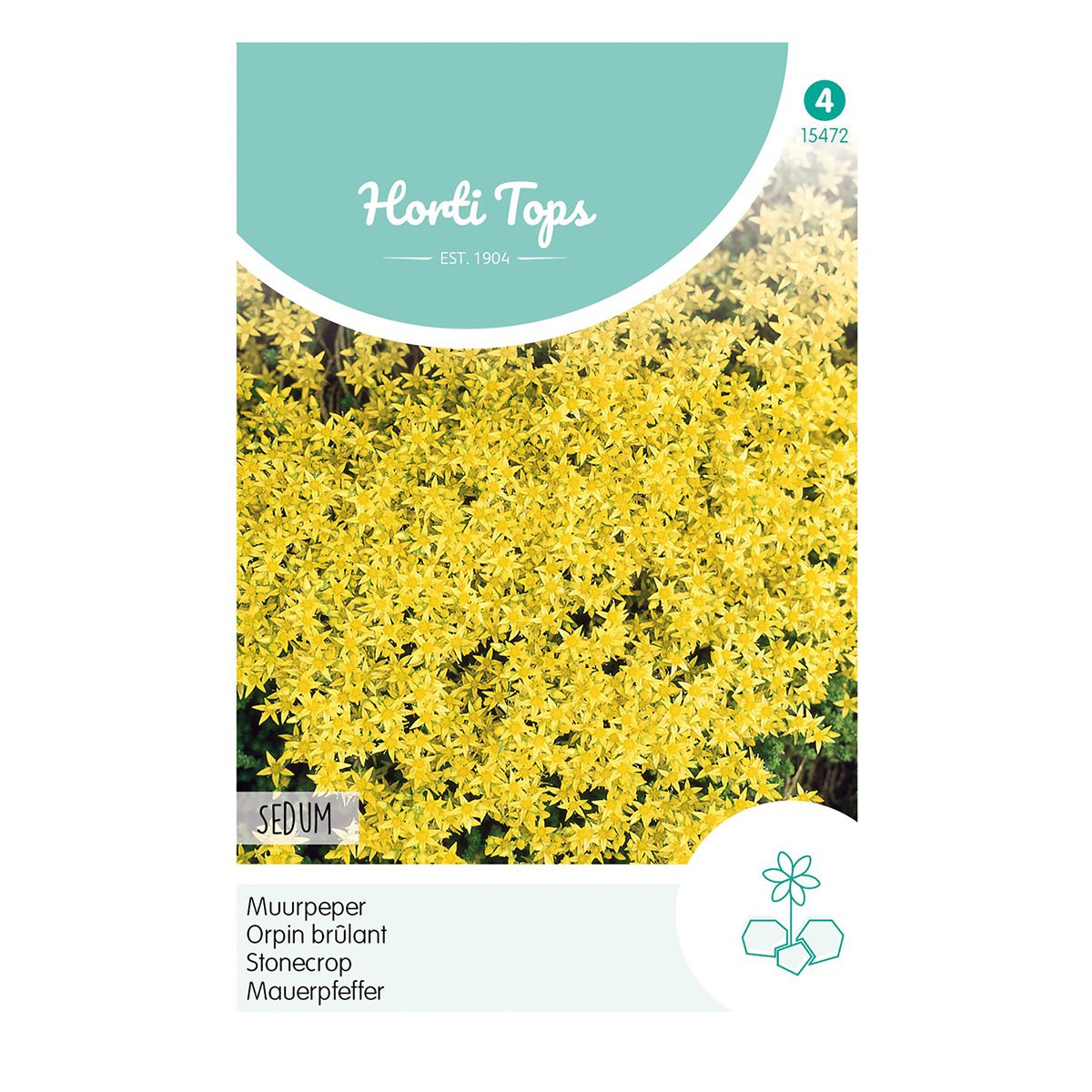 Muurpeper geel Muurpeper geel