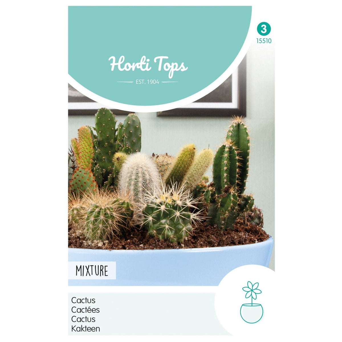 Cactus mix Cactus mix