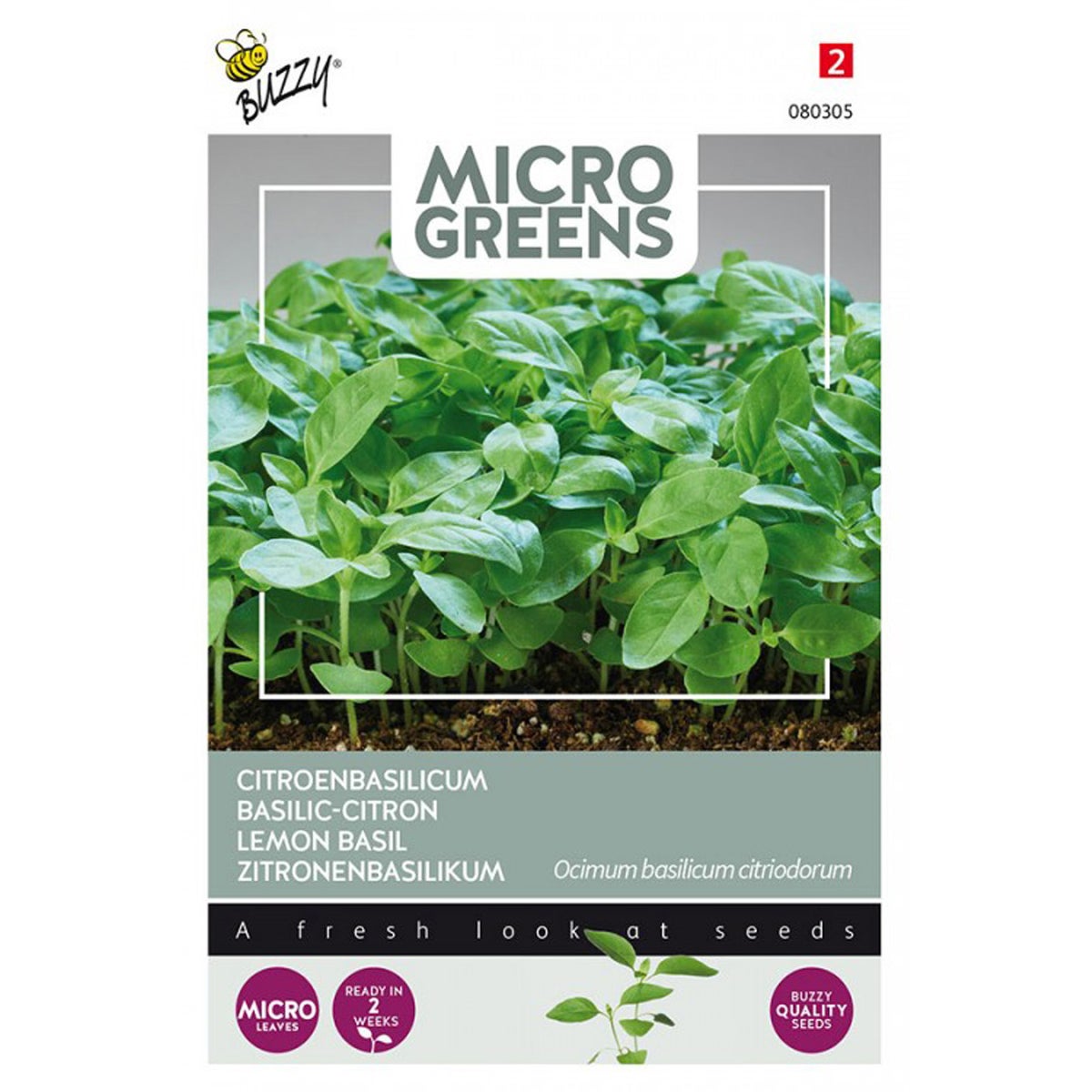 Citroenbasilicum Microgreens Zaden Buzzy Citroenbasilicum Microgreens Zaden Buzzy