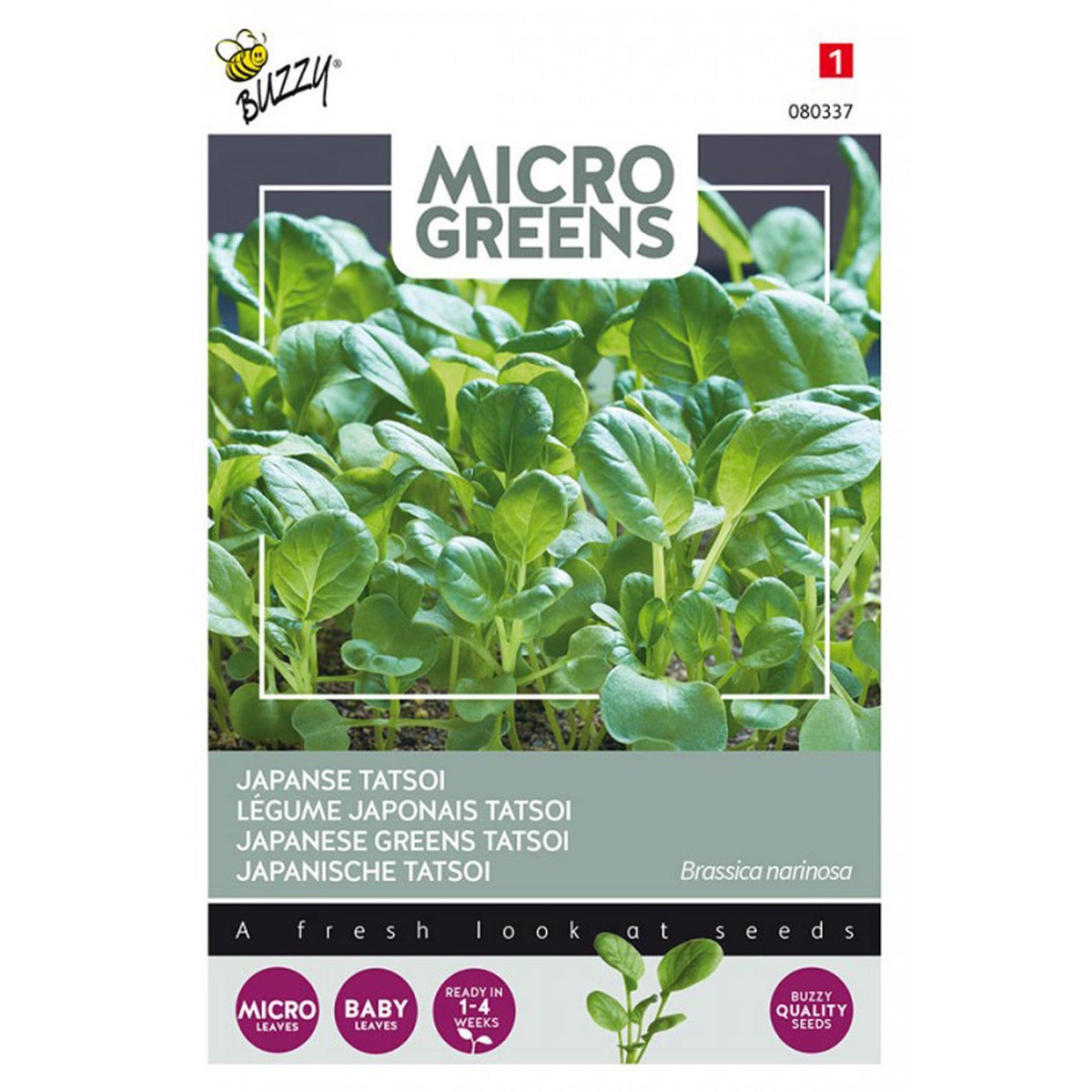 Tatsoi Microgreens Zaden Buzzy Tatsoi Microgreens Zaden Buzzy