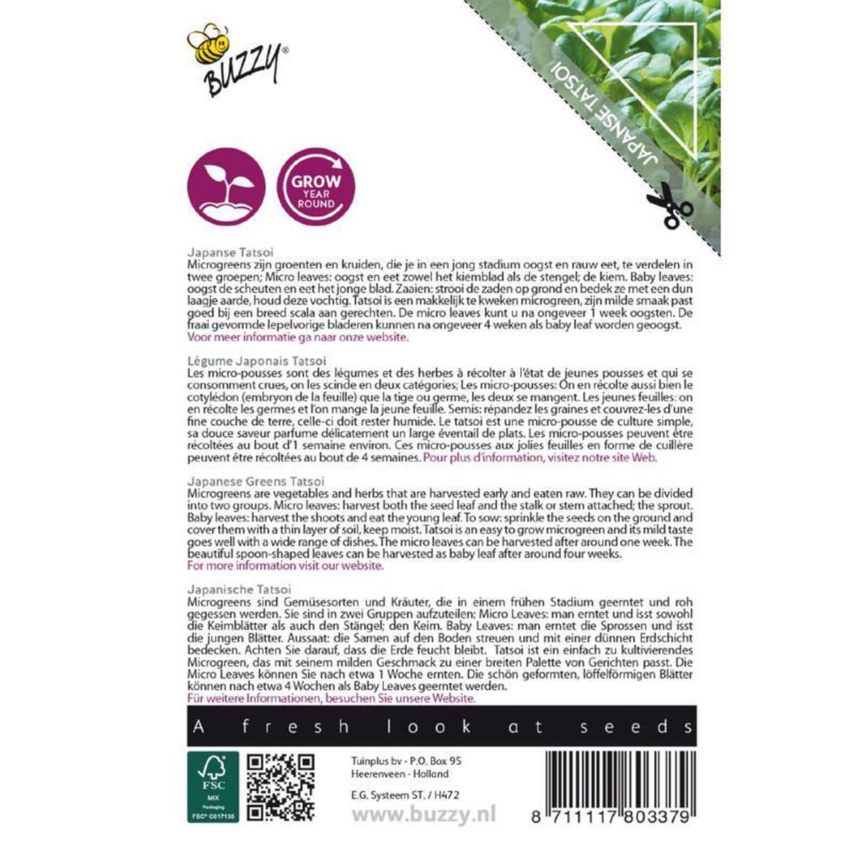 Tatsoi Microgreens Zaden Buzzy Tatsoi Microgreens Zaden Buzzy
