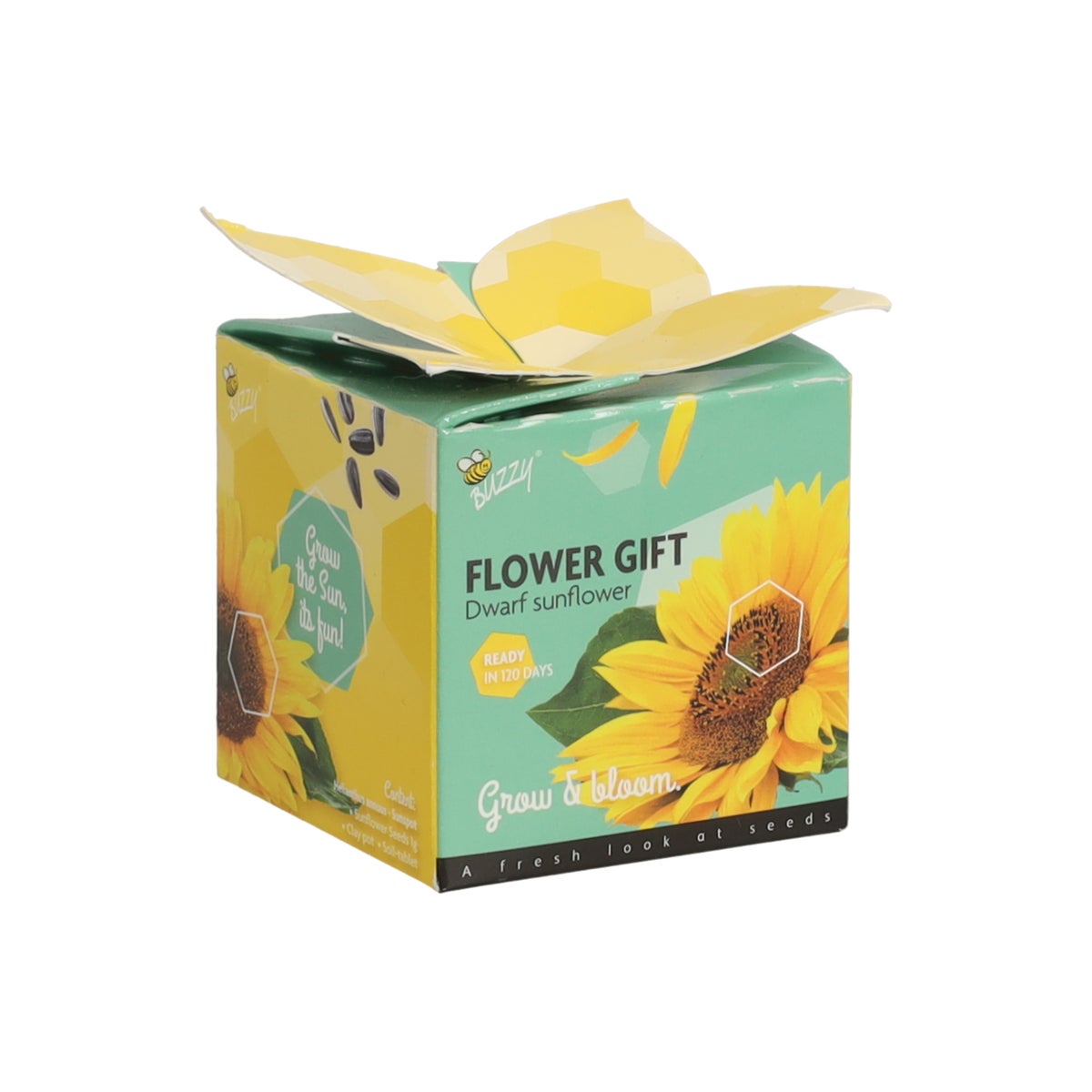 Flower Gift Zonnebloem Buzzy Flower Gift Zonnebloem Buzzy