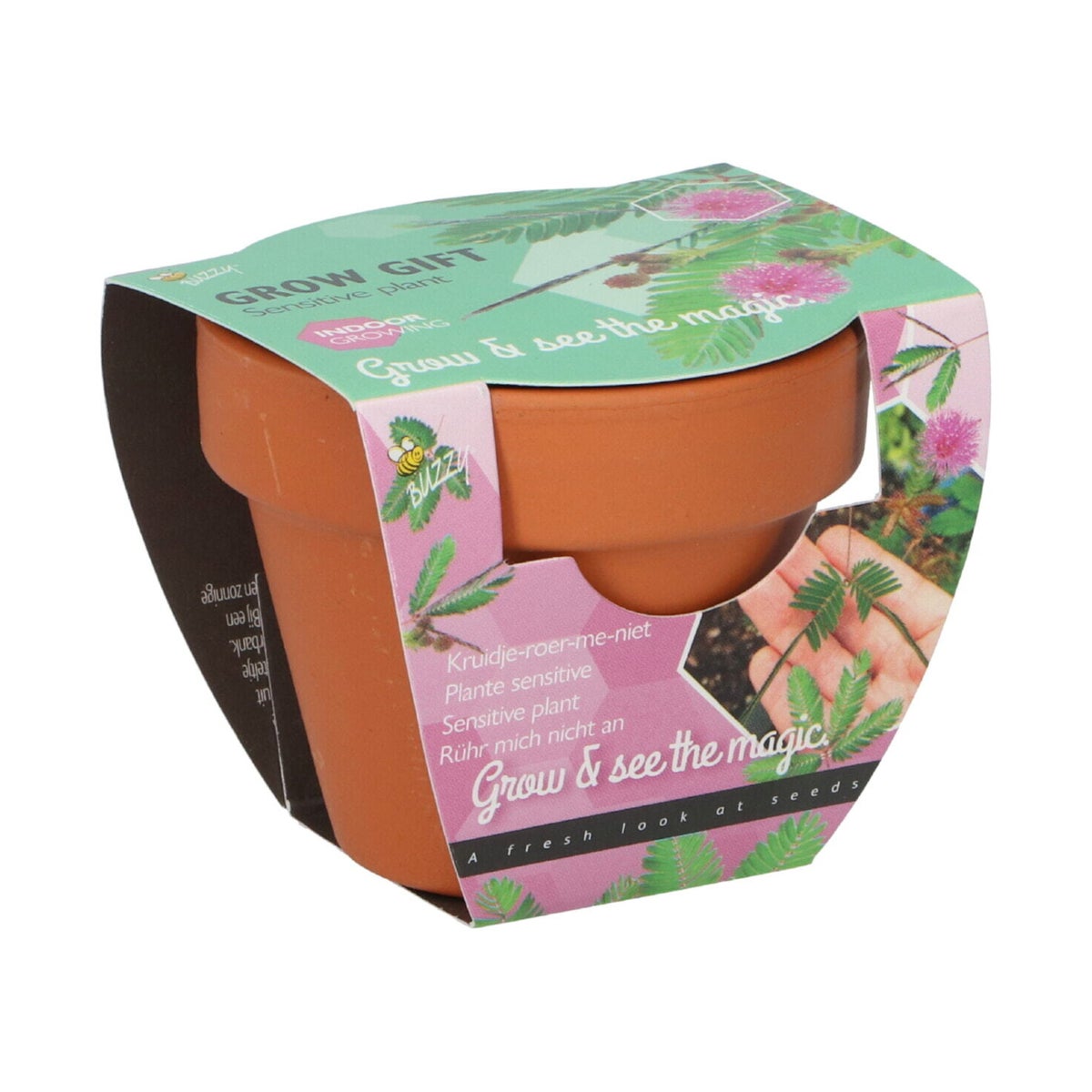 Buzzy Grow Gifts kruidje roer me niet Buzzy Grow Gifts kruidje roer me niet