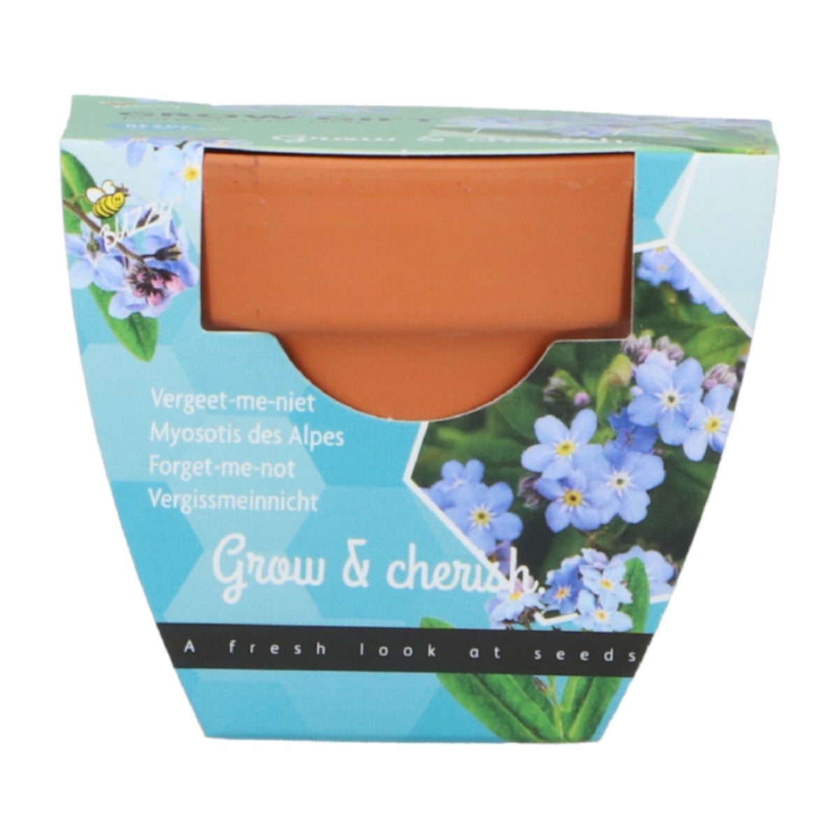 Buzzy Grow Gifts vergeet me niet Buzzy Grow Gifts vergeet me niet