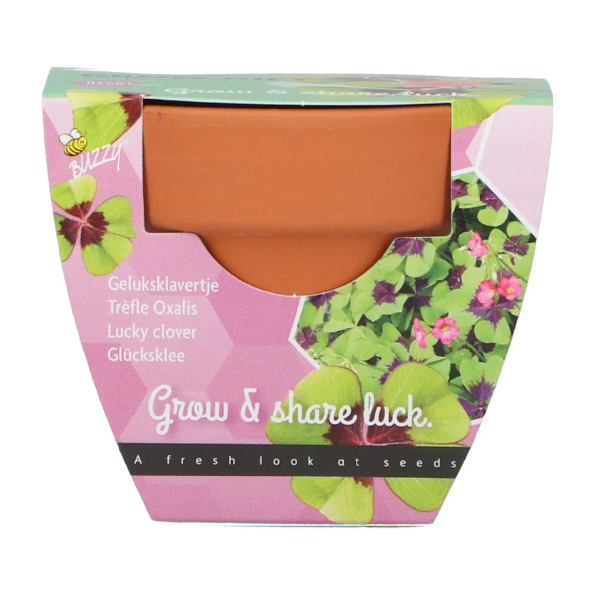 Buzzy Grow Gifts klavertje vier Buzzy Grow Gifts klavertje vier