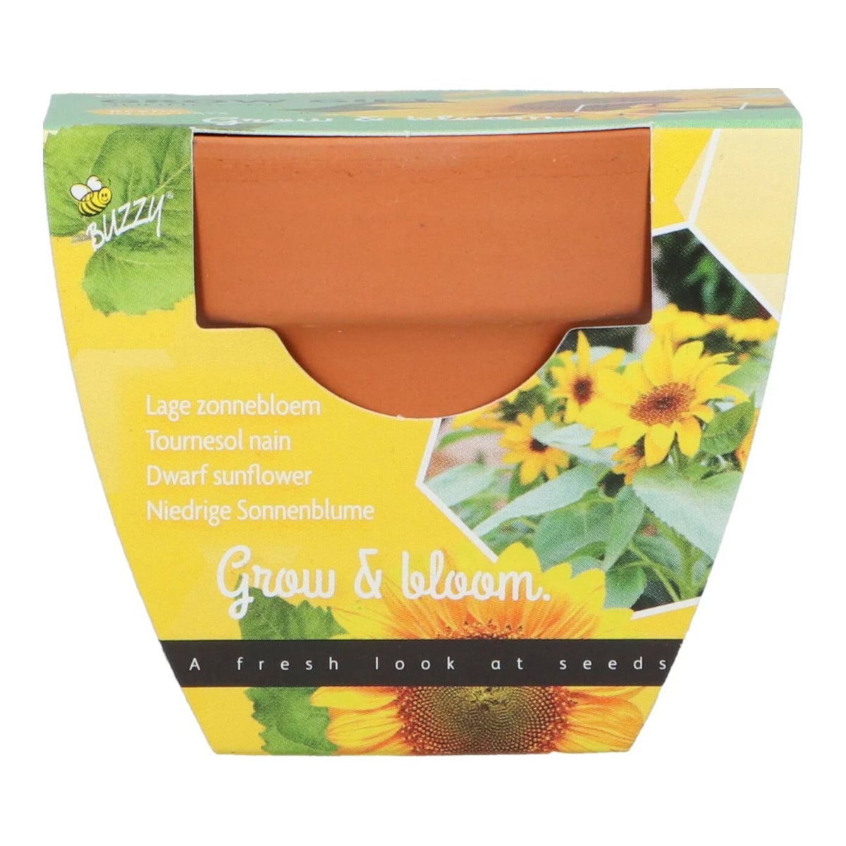 Buzzy Grow Gifts zonnebloem Buzzy Grow Gifts zonnebloem