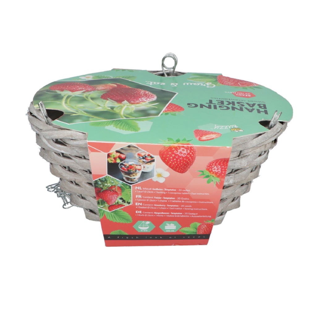 Hanging Basket aardbei Buzzy Hanging Basket aardbei Buzzy