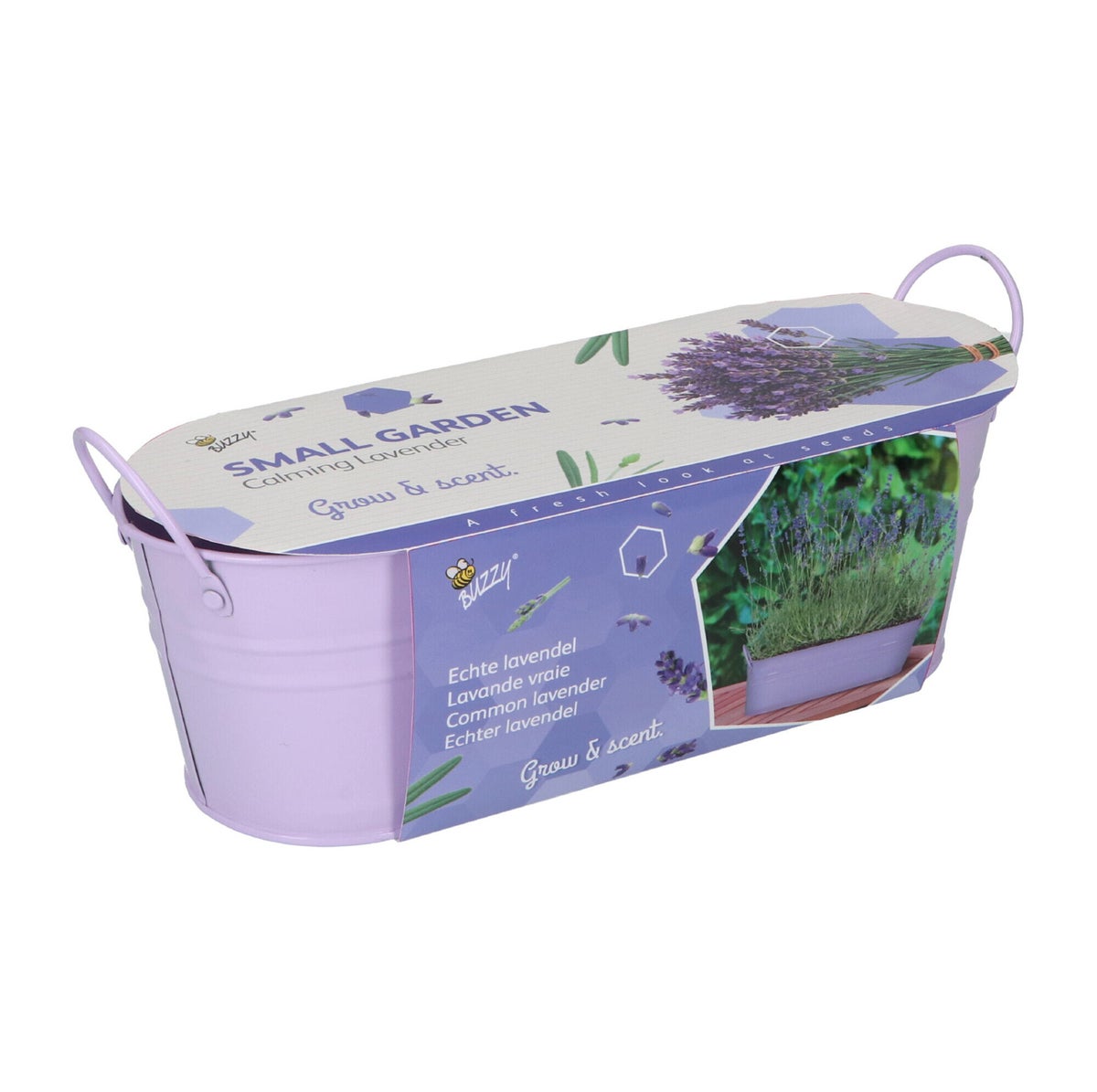 Buzzy Small Garden calming lavender Buzzy Small Garden calming lavender