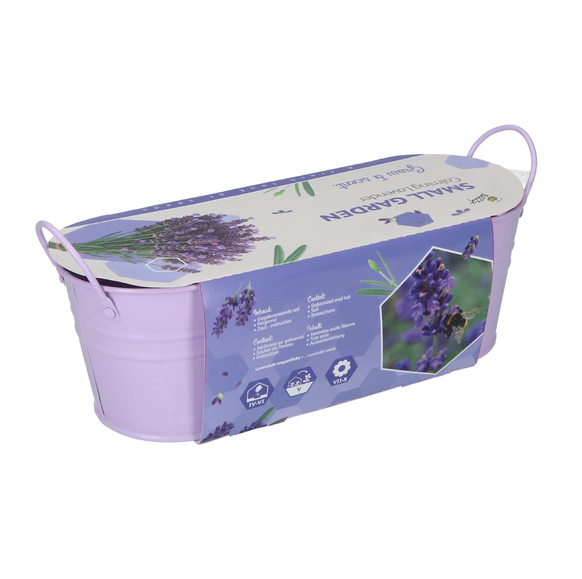 Buzzy Small Garden calming lavender Buzzy Small Garden calming lavender