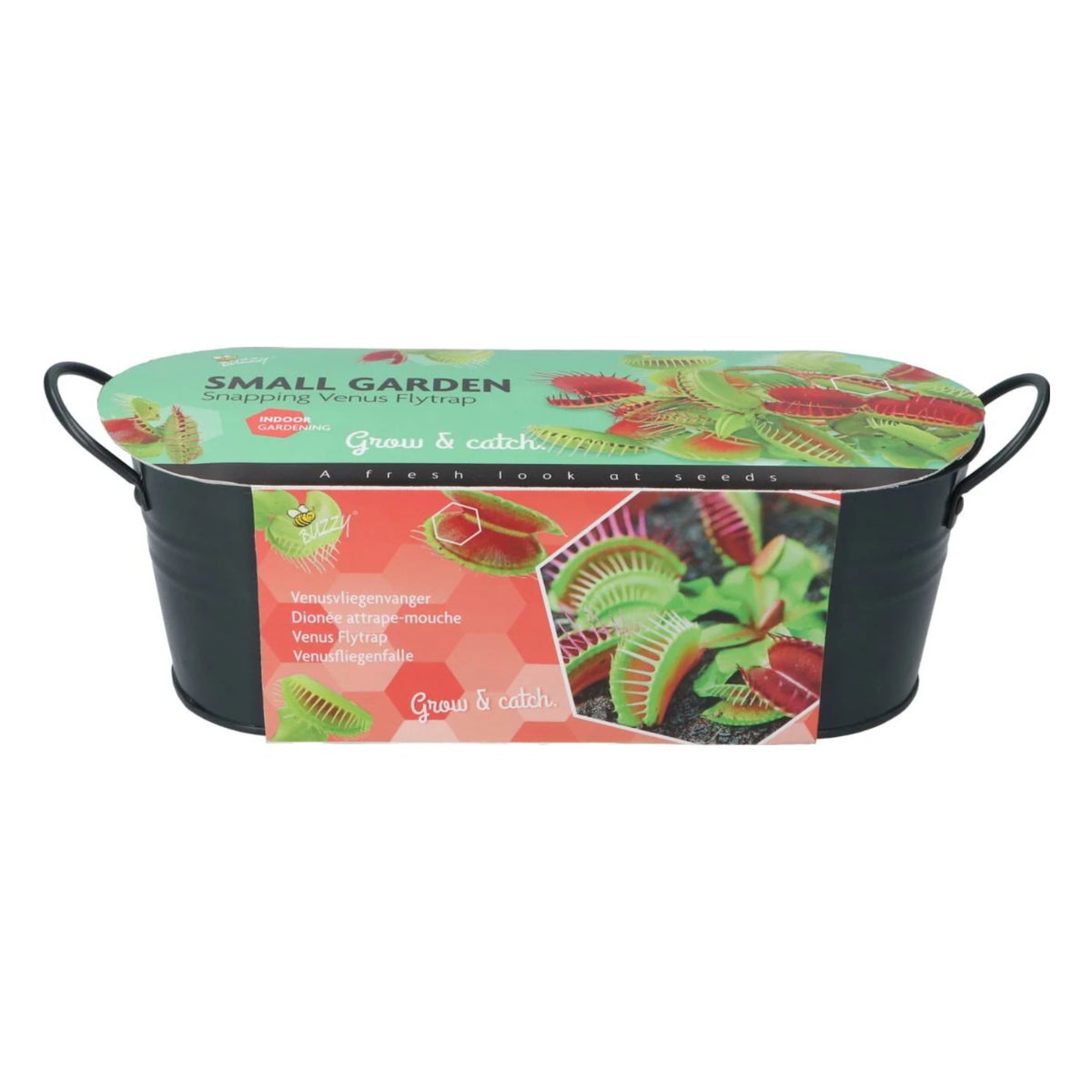 Buzzy Small Garden Venusvliegenvanger Buzzy Small Garden Venusvliegenvanger