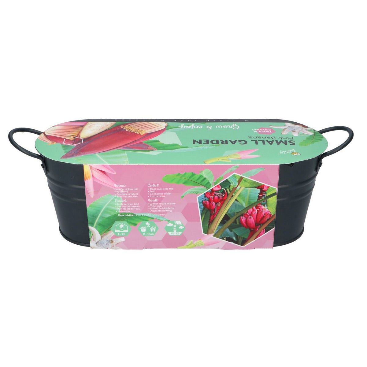 Buzzy Small Garden pink banana Buzzy Small Garden pink banana
