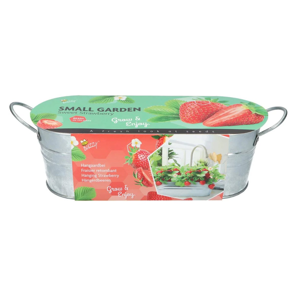 Small Garden sweet strawberry Buzzy Small Garden sweet strawberry Buzzy