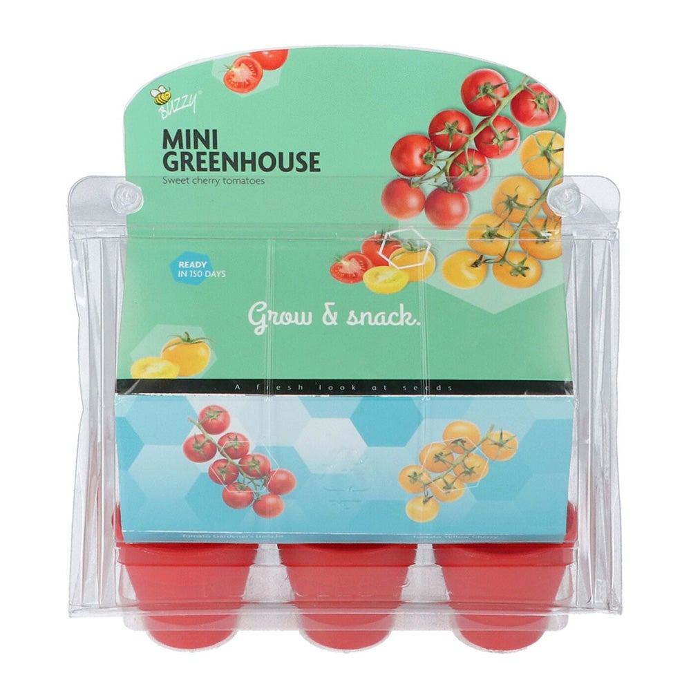 Mini Greenhouse Sweet cherry tomatoes 8 Buzzy Mini Greenhouse Sweet cherry tomatoes 8 Buzzy