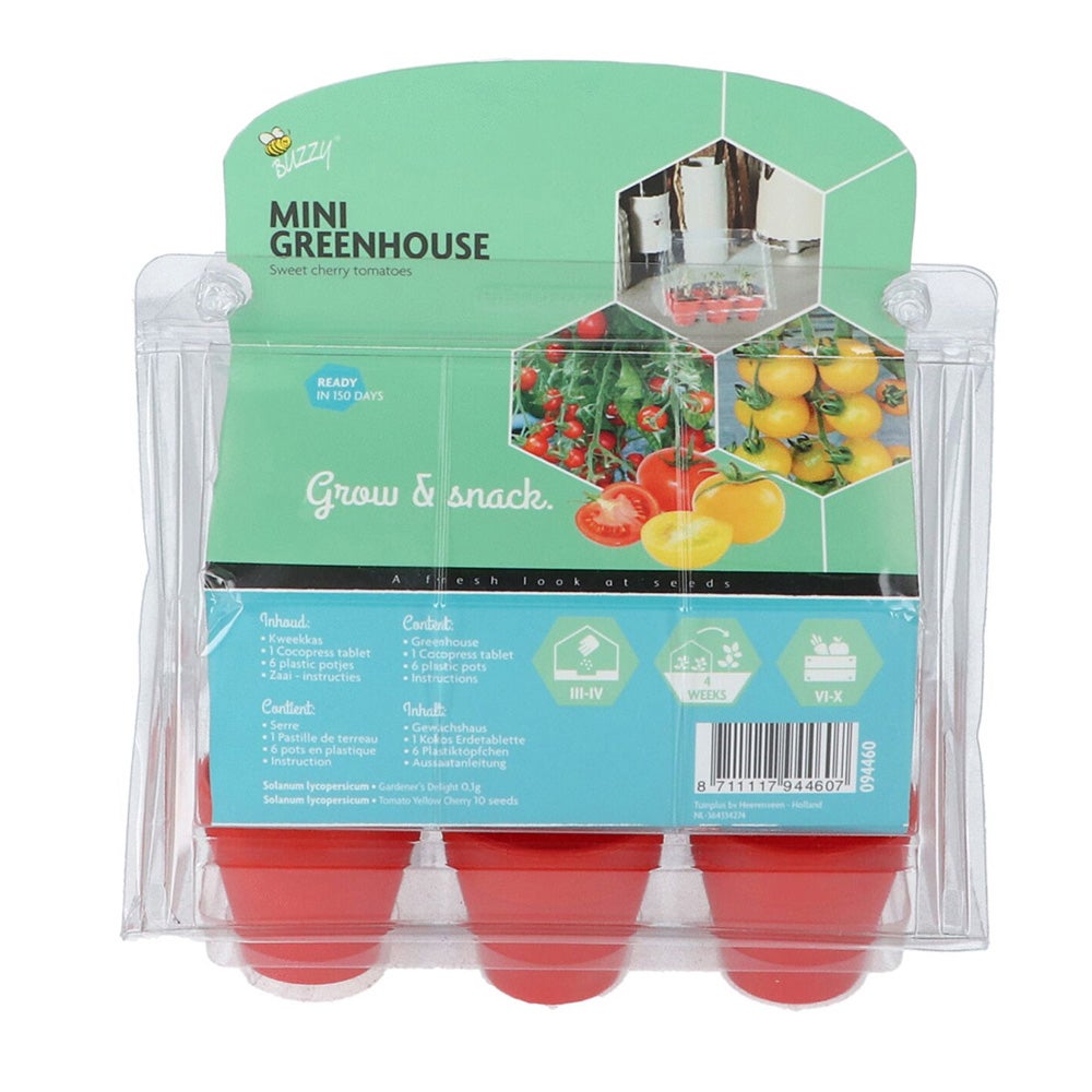 Mini Greenhouse Sweet cherry tomatoes 8 Buzzy Mini Greenhouse Sweet cherry tomatoes 8 Buzzy