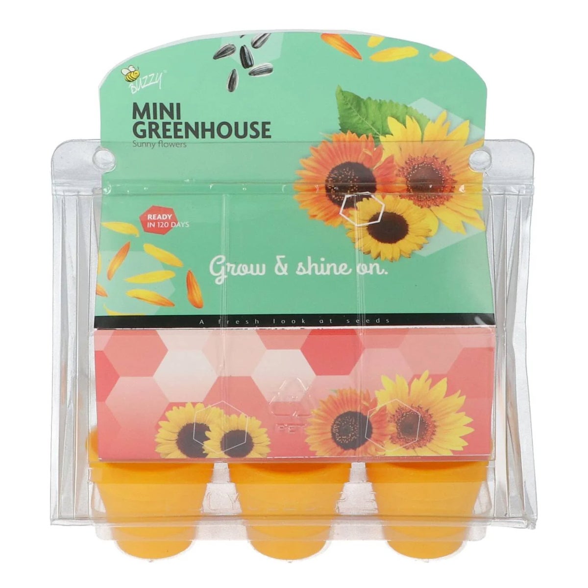 Mini Greenhouse Sunny flowers 8 Buzzy Mini Greenhouse Sunny flowers 8 Buzzy