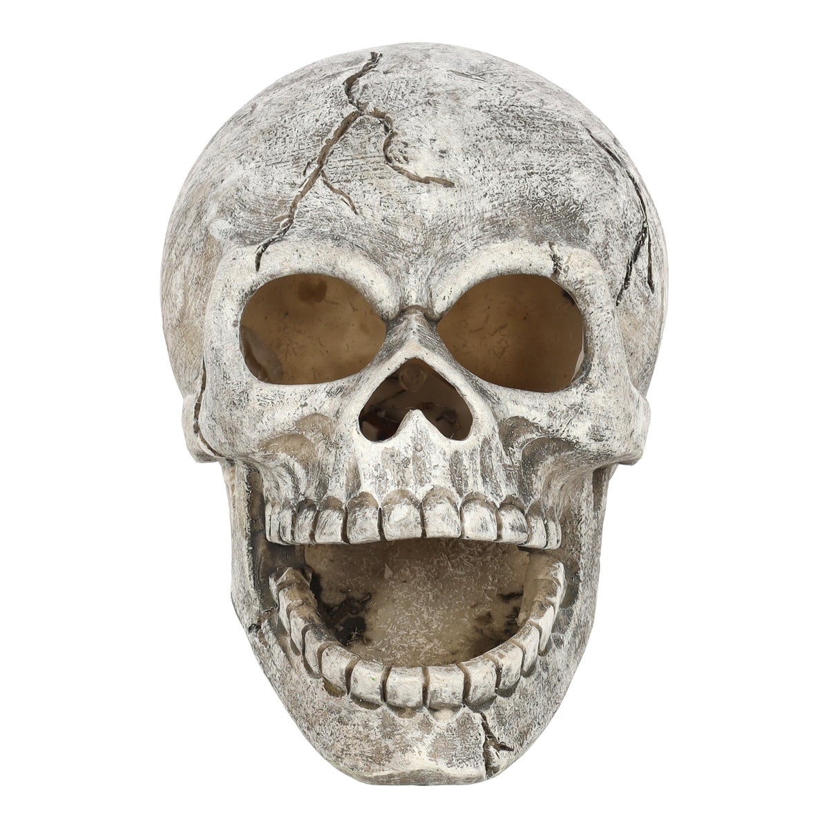 Schedel Halloween en LED 10 cm Schedel Halloween en LED 10 cm