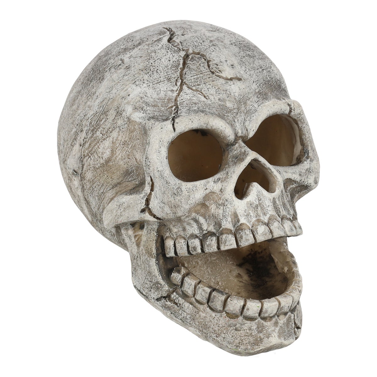 Schedel Halloween en LED 10 cm Schedel Halloween en LED 10 cm