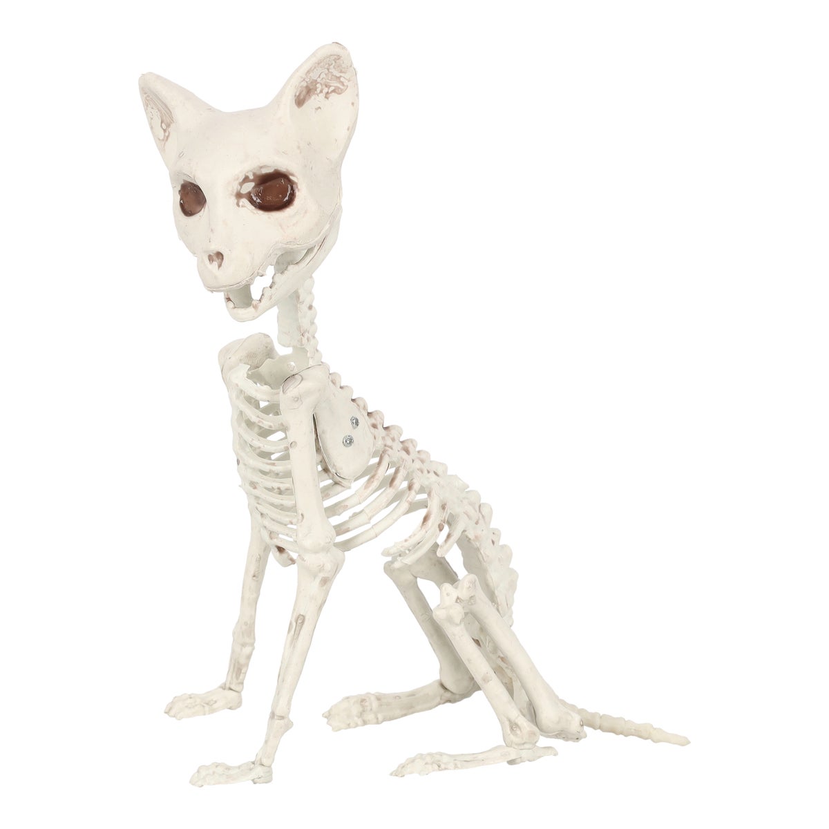 Skelet kat 19 cm Skelet kat 19 cm