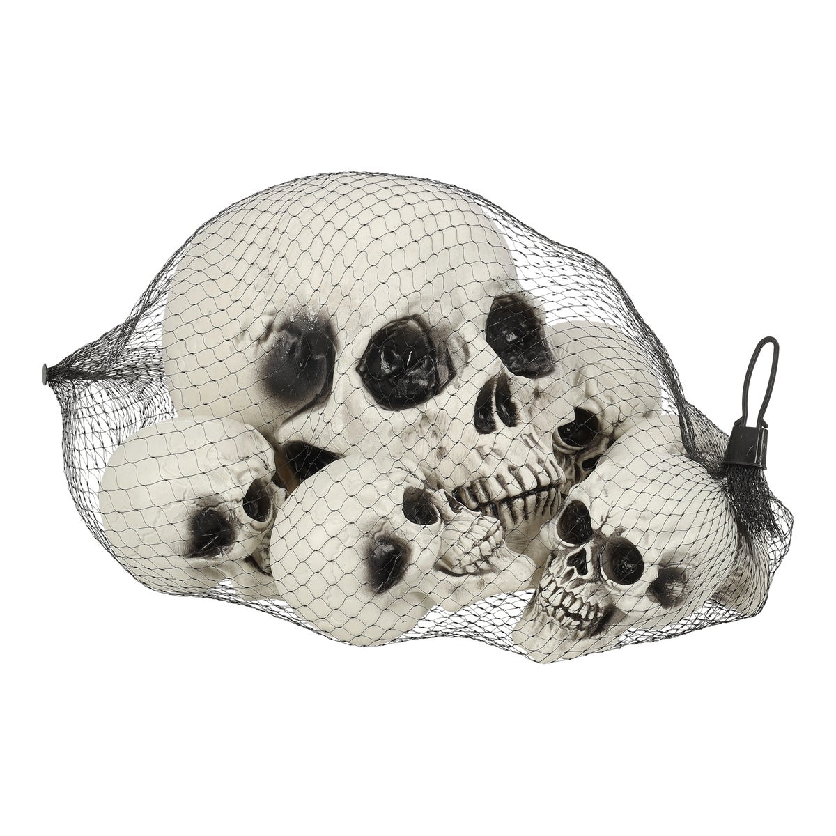 Schedel diversen 6St Schedel diversen 6St