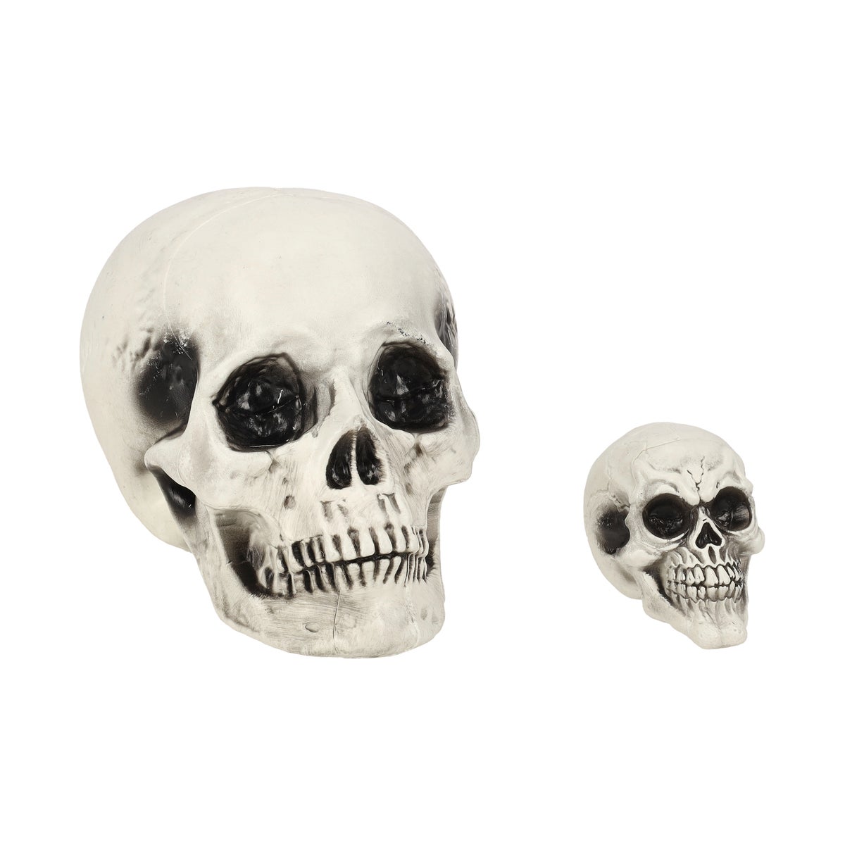Schedel diversen 6St Schedel diversen 6St