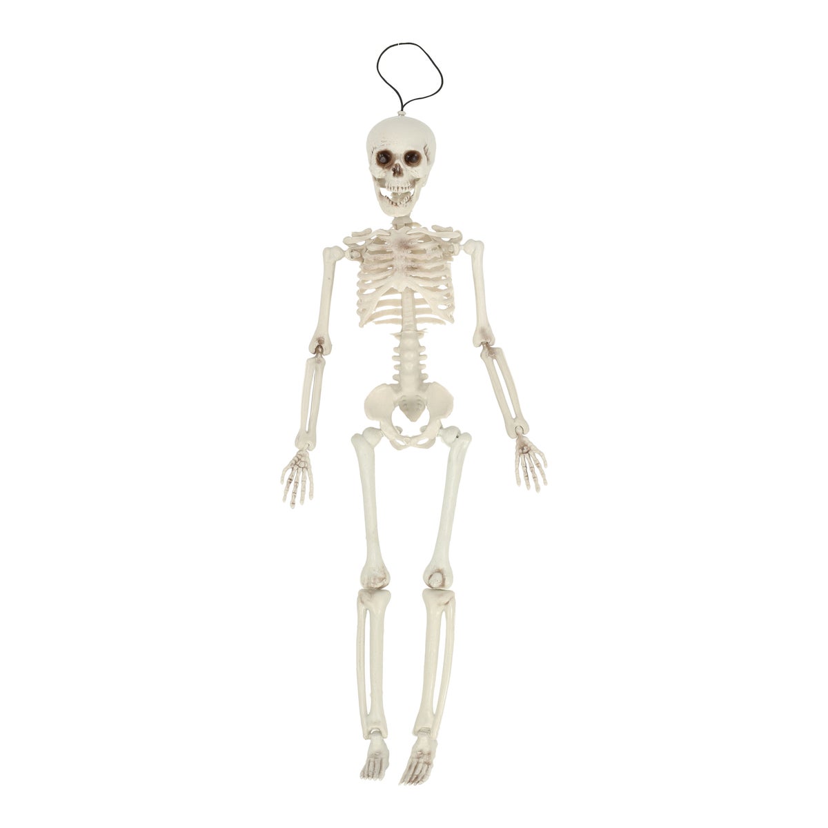 Skelet hang 40 cm Skelet hang 40 cm