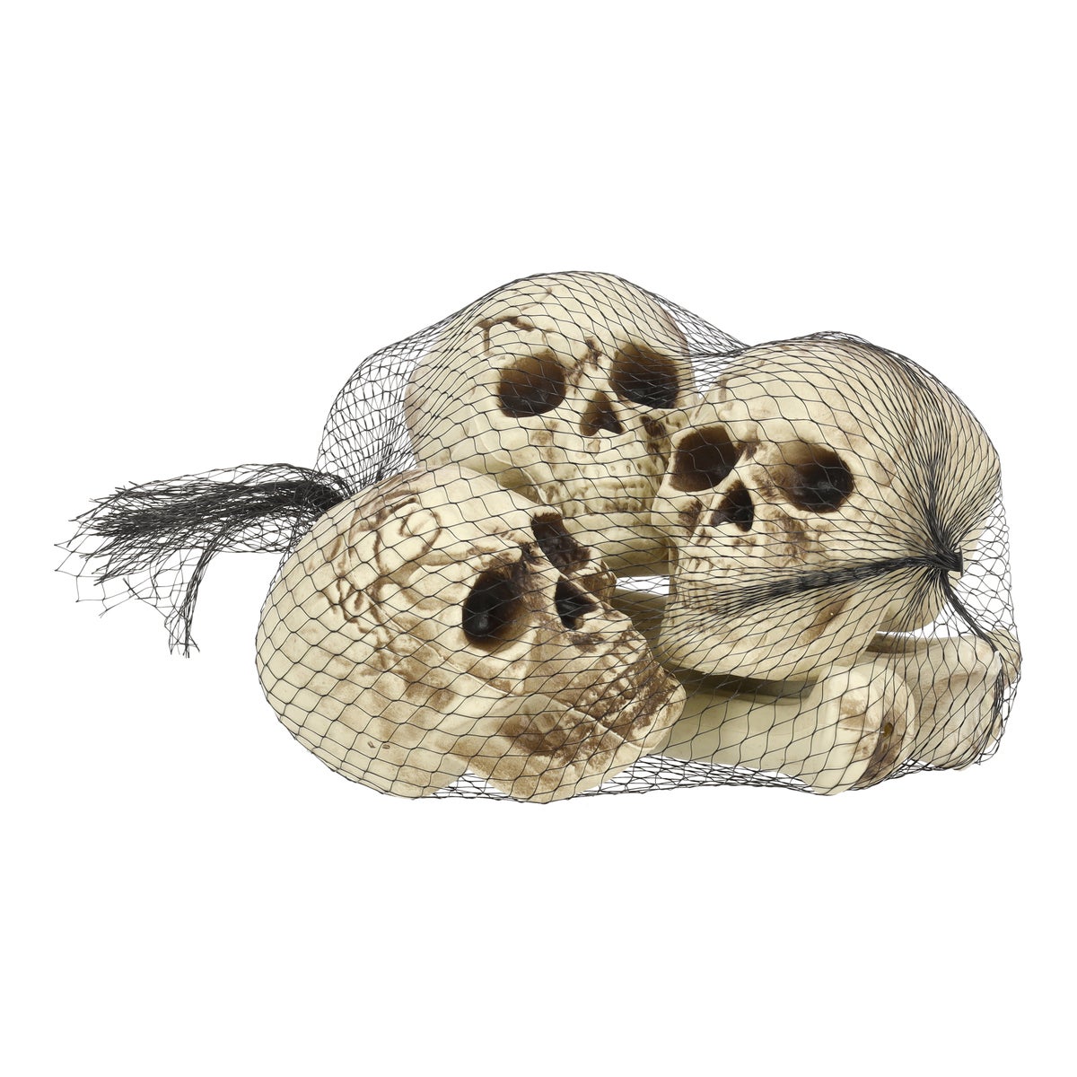 Skelet met beenderen 6-delig Skelet met beenderen 6-delig